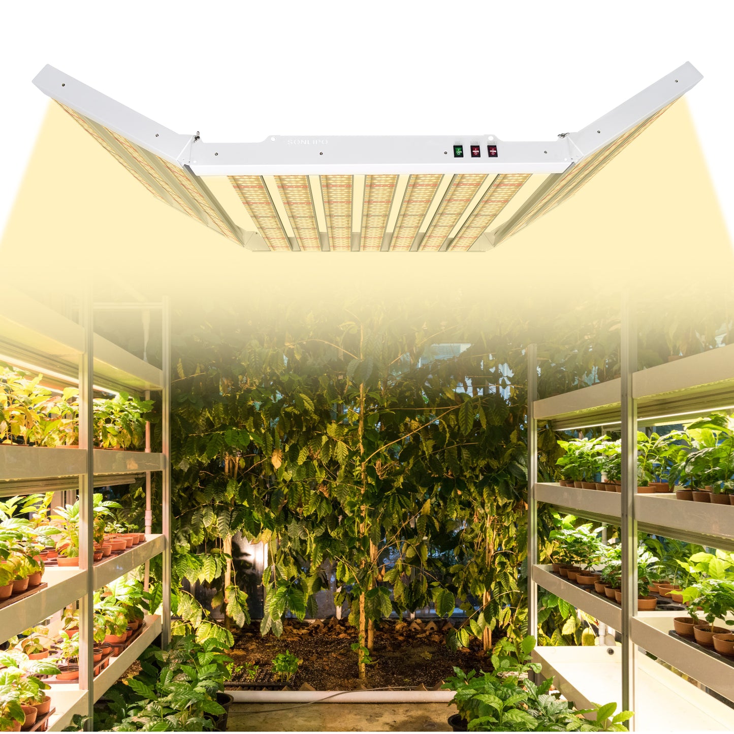 JideTech 600W foldable full spectrum vertical farming growing systems Led Grow Light (SPF6000-600W)