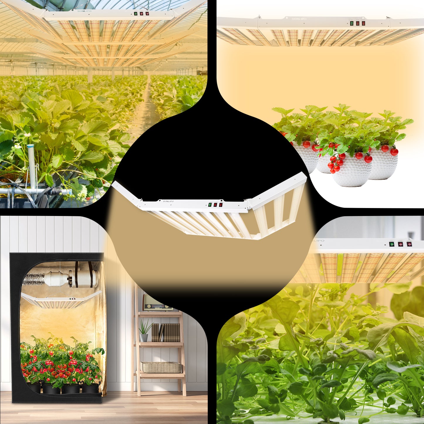 JideTech 600W foldable full spectrum vertical farming growing systems Led Grow Light (SPF6000-600W)