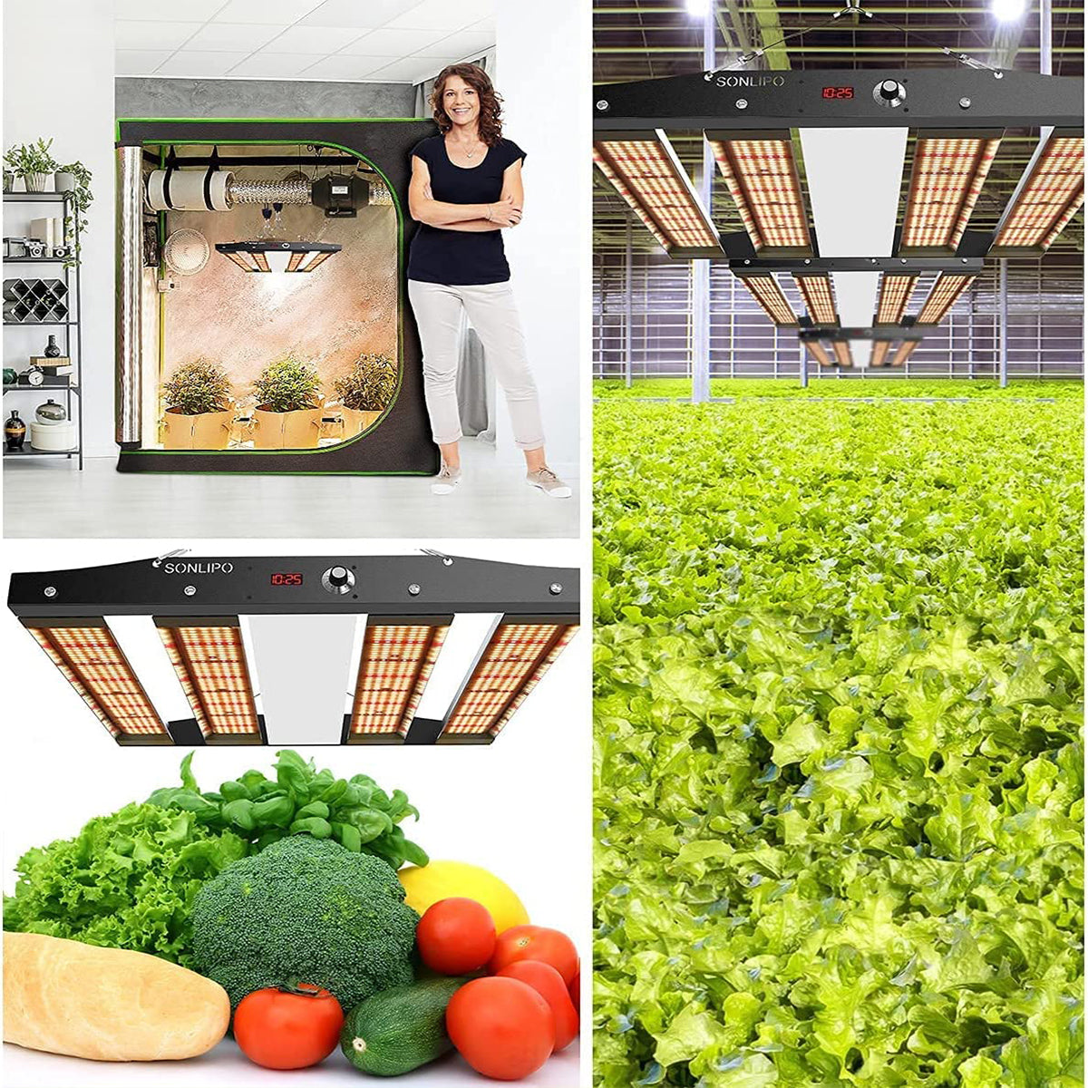 JideTech High-Efficiency 250W LED Grow Light Samsung Leg 4 Bars Adjustable Full Spectrum Lamp Indoor Plant Led Grow Light(SPC2500-250W)