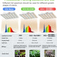 JideTech Greenhouse Plant Light Led 6 Bars 200W Full Spectrum Led Grow Light For Indoor Plant(SPF2000-200W)