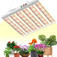 JideTech Greenhouse Plant Light Led 6 Bars 200W Full Spectrum Led Grow Light For Indoor Plant(SPF2000-200W)