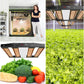 JideTech High-Efficiency 250W LED Grow Light Samsung Leg 4 Bars Adjustable Full Spectrum Lamp Indoor Plant Led Grow Light(SPC2500-250W)